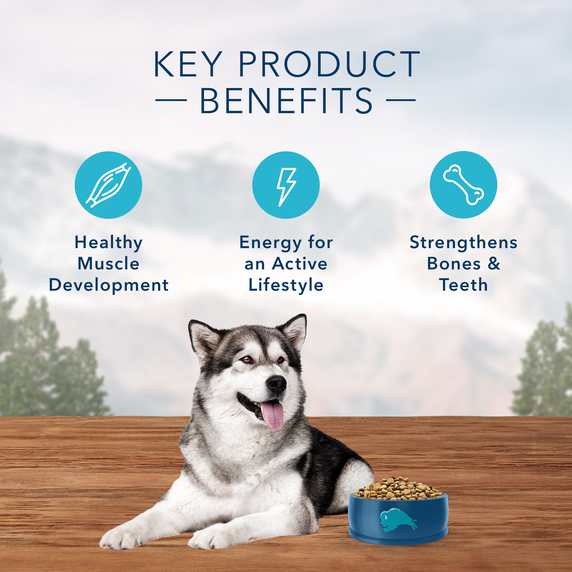 Blue Buffalo Wilderness Adult Dry Dog Food Grain Free Salmon