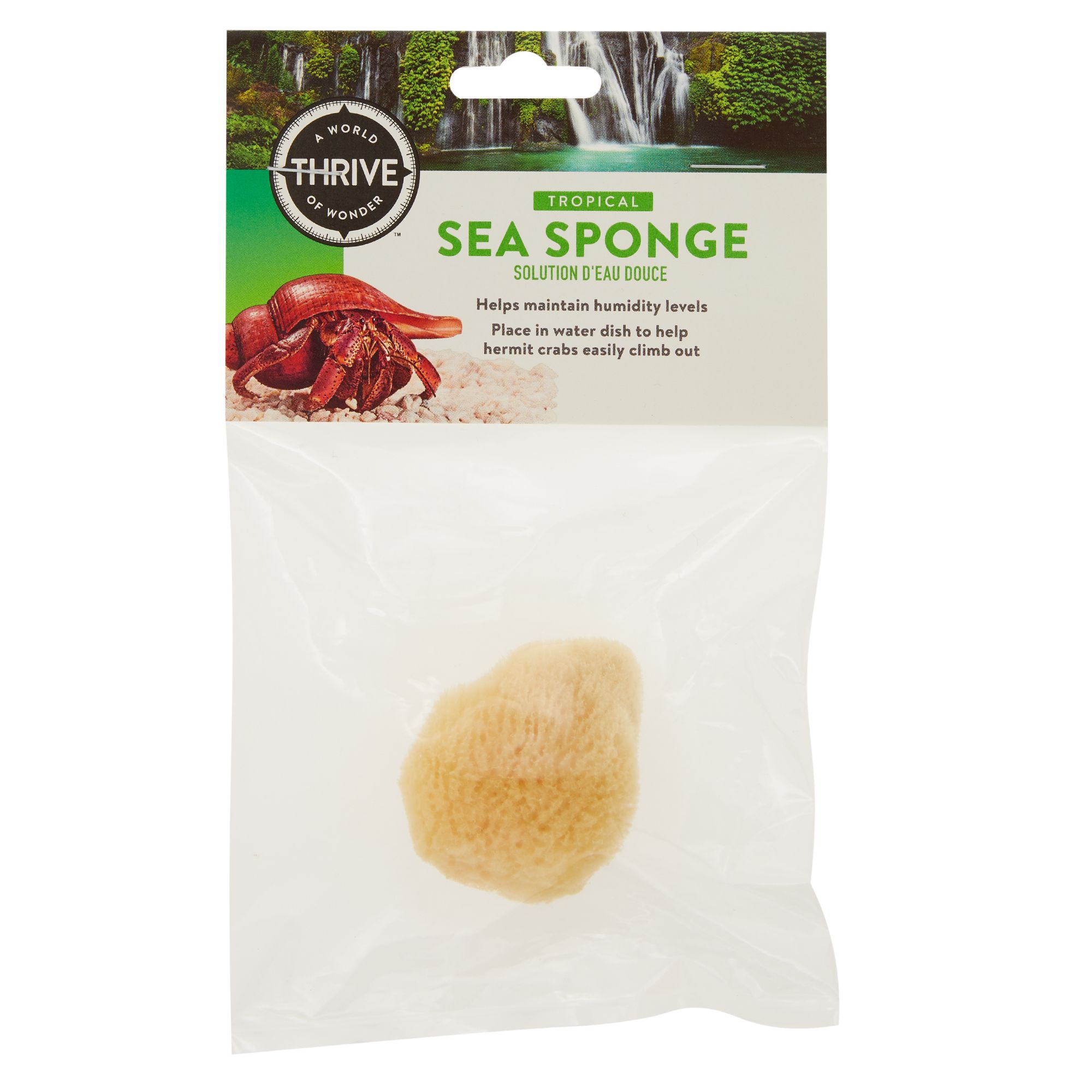  Hermit Crab Sponges for Water, 3 Pack Unbleached Hermit Crab  Accessories & Supplies, Pet Crab Sponges Provide Nutrients and Maintain  Tank Humidity, Water Dish Yellow Real Sea Sponges, 2 x