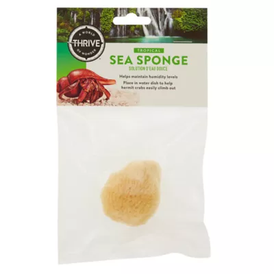 Product Thrive Tropical Hermit Crab Sea Sponge