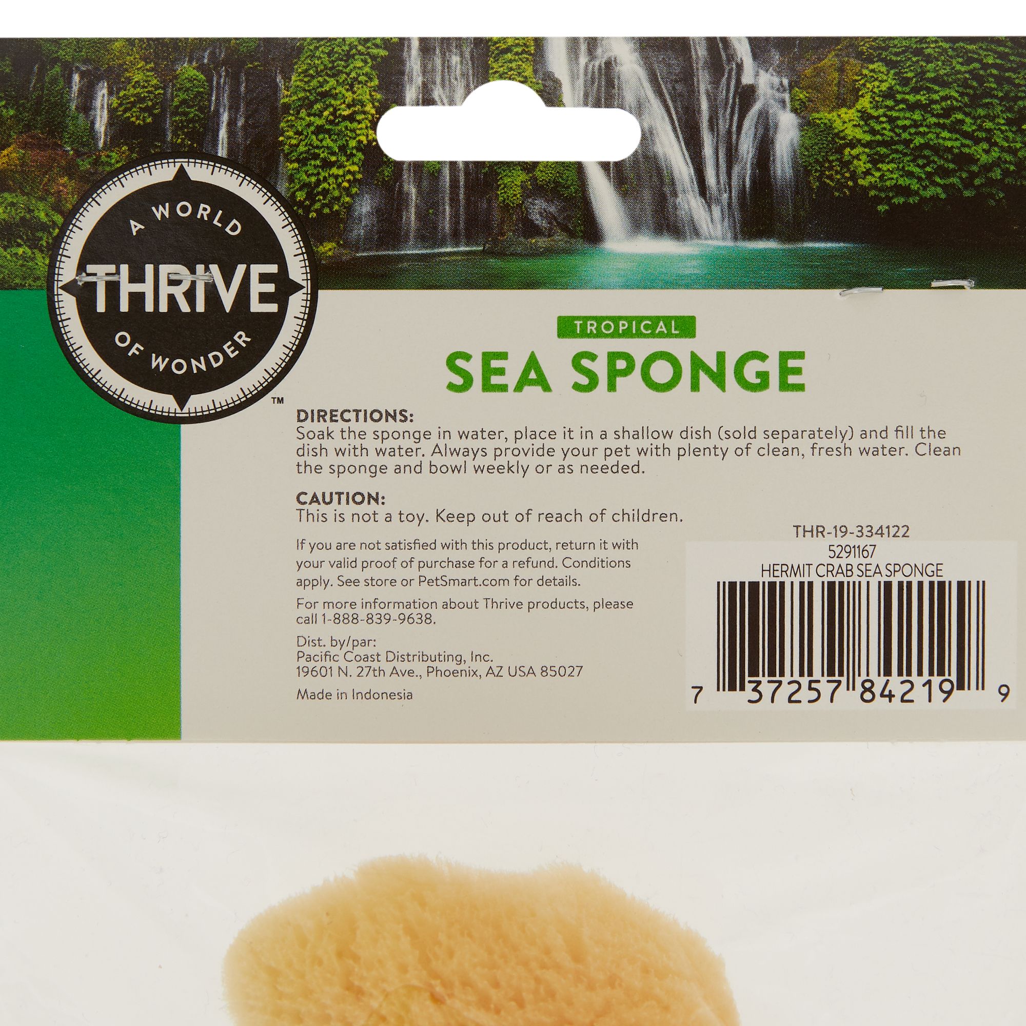 Thrive Tropical Hermit Crab Sea Sponge - Hermit Crab Humidity Sponge - thumbnail 2