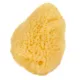 Product Thrive Tropical Hermit Crab Sea Sponge