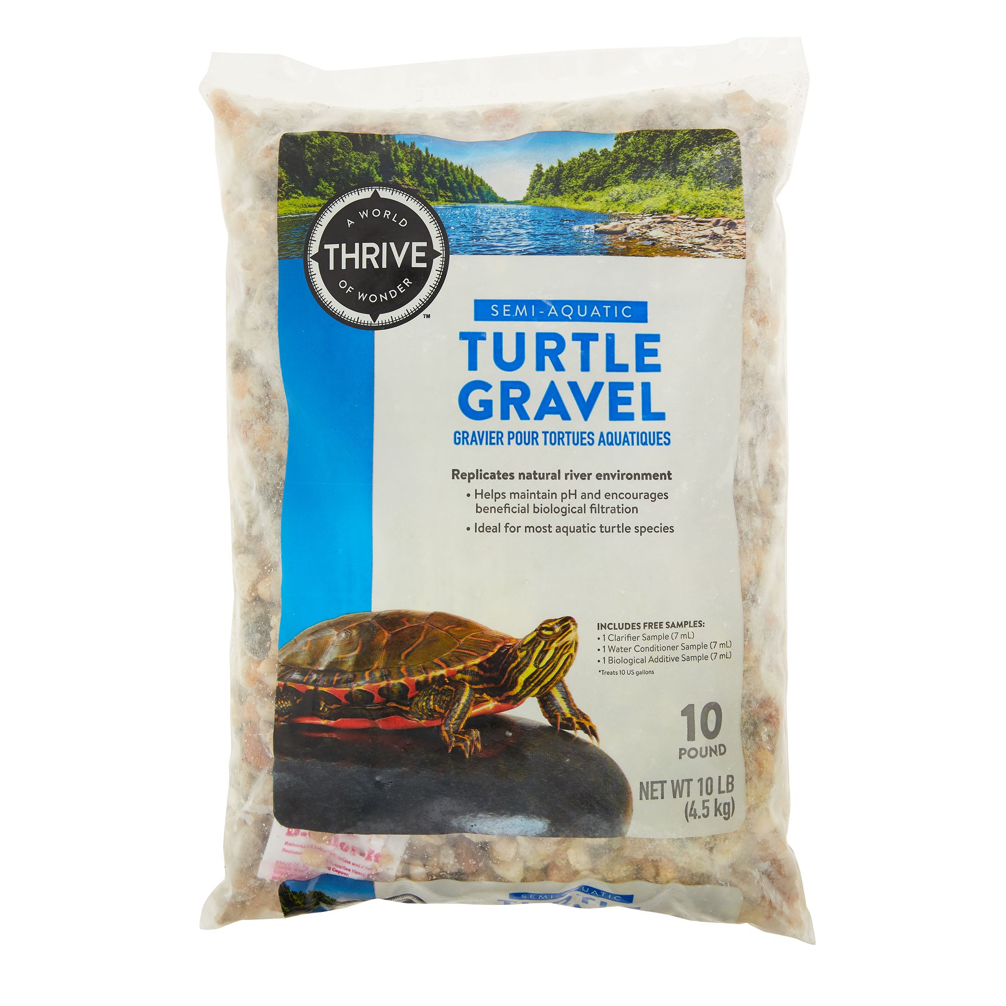 Small best sale turtles petsmart