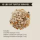 Product Thrive Semi-Aquatic Turtle Gravel