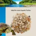 Thrive Semi-Aquatic Turtle Gravel image thumbnail 5