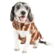 Product Pet Life® Luxe "Tira-Poochoo" Tiramisu Faux Fur Pet Coat