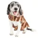 Product Pet Life® Luxe "Tira-Poochoo" Tiramisu Faux Fur Pet Coat