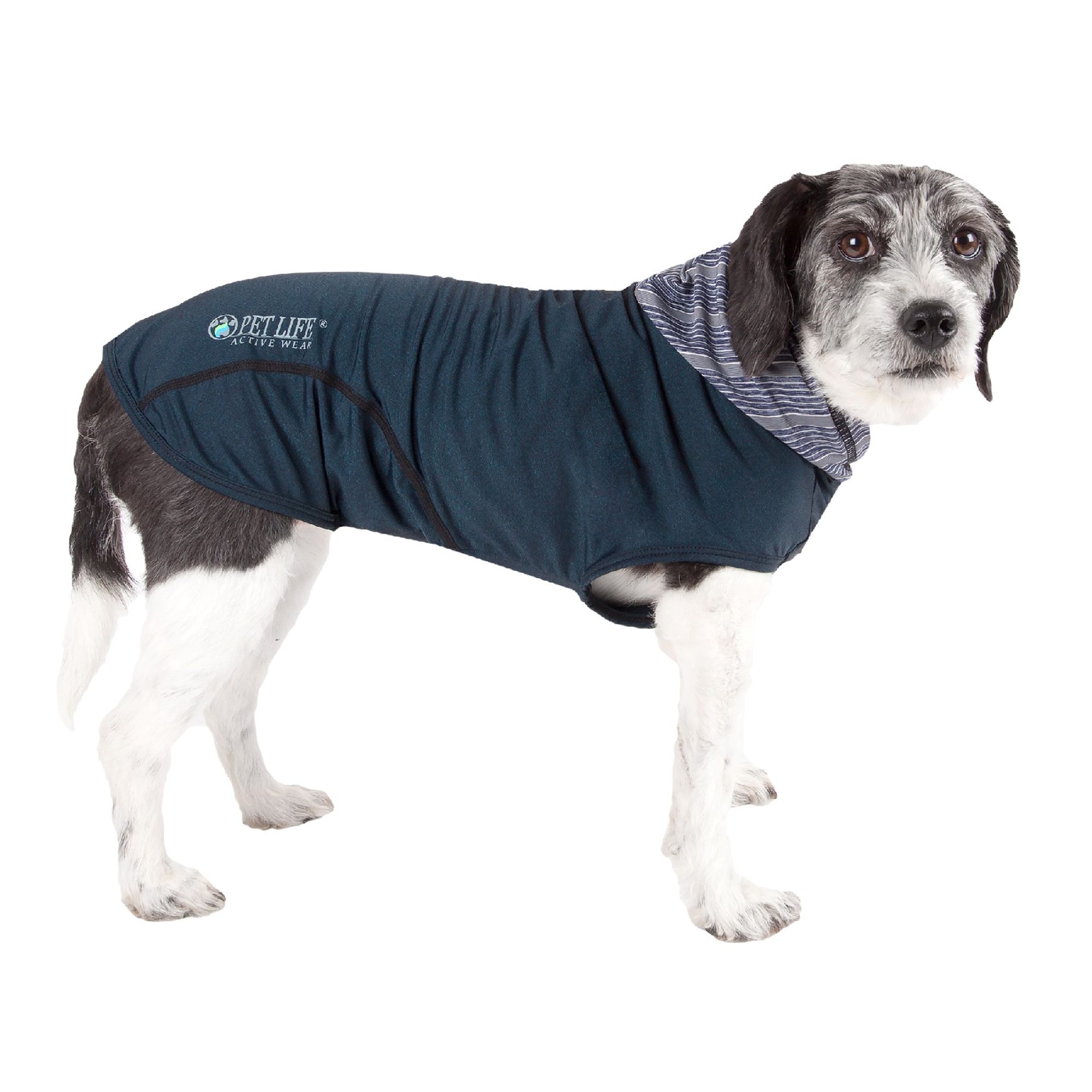 petsmart thunder shirts