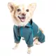 Product Dog Helios™ "Namastail" Performance Pet Tracksuit