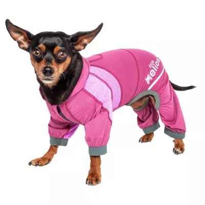 Product Dog Helios™ "Namastail" Performance Pet Tracksuit