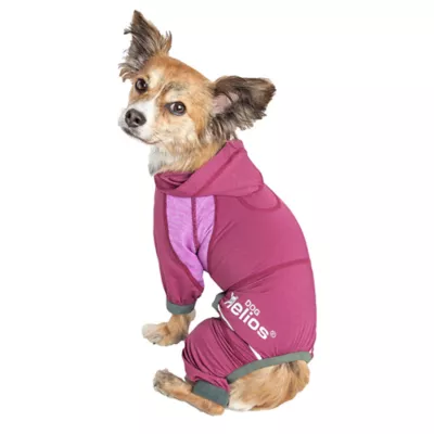 Product Dog Helios™ "Namastail" Performance Pet Tracksuit