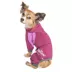 Dog Helios™ "Namastail" Performance Pet Tracksuit image thumbnail 2