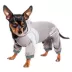 Dog Helios™ "Namastail" Performance Pet Tracksuit image thumbnail 1