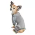 Dog Helios™ "Namastail" Performance Pet Tracksuit image thumbnail 2