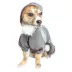 Dog Helios™ "Namastail" Performance Pet Tracksuit image thumbnail 3