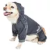 Dog Helios™ "Namastail" Performance Pet Tracksuit image thumbnail 3