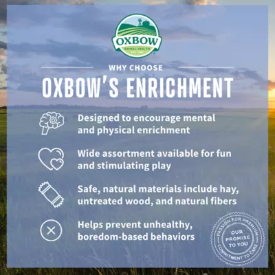 Product Oxbow Enriched Life Play Wall Small Pet Chew