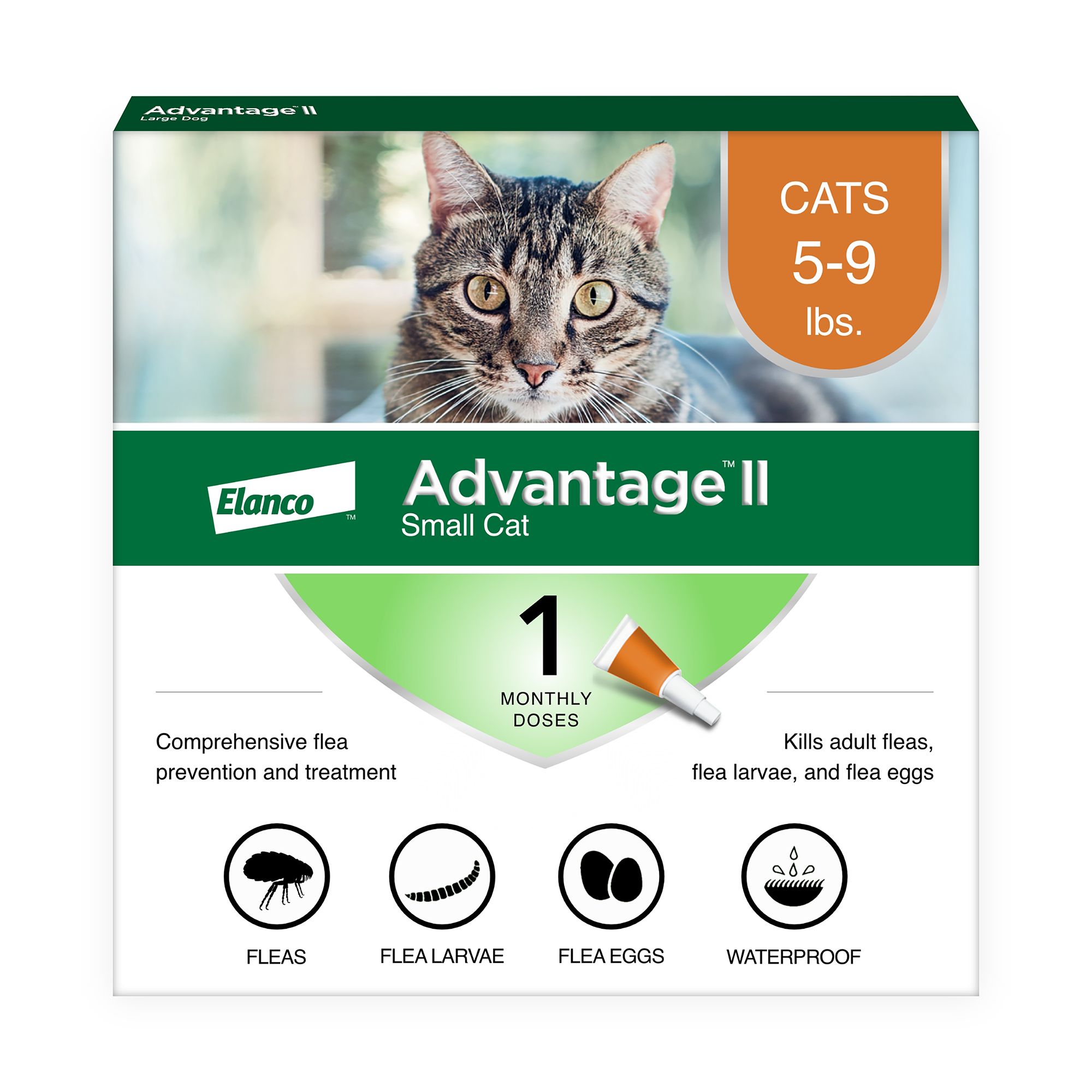 Best over the counter flea outlet and tick medicine for cats