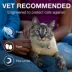 Advantage® II Flea Prevention & Treatment for Small Cats 5-9 lbs, Monthly Doses image thumbnail 8
