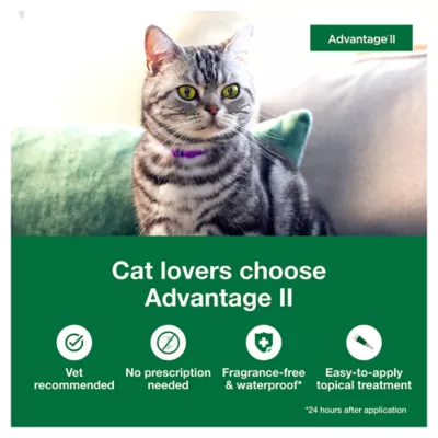 Product Advantage® II Over 9 lbs Cat Flea Prevention & Treatment