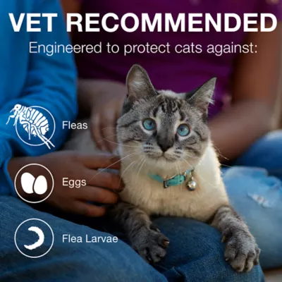 Product Advantage® II Over 9 lbs Cat Flea Prevention & Treatment