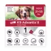 K9 Advantix® II 21-55 lbs Dog Flea & Tick Treatment image thumbnail 1