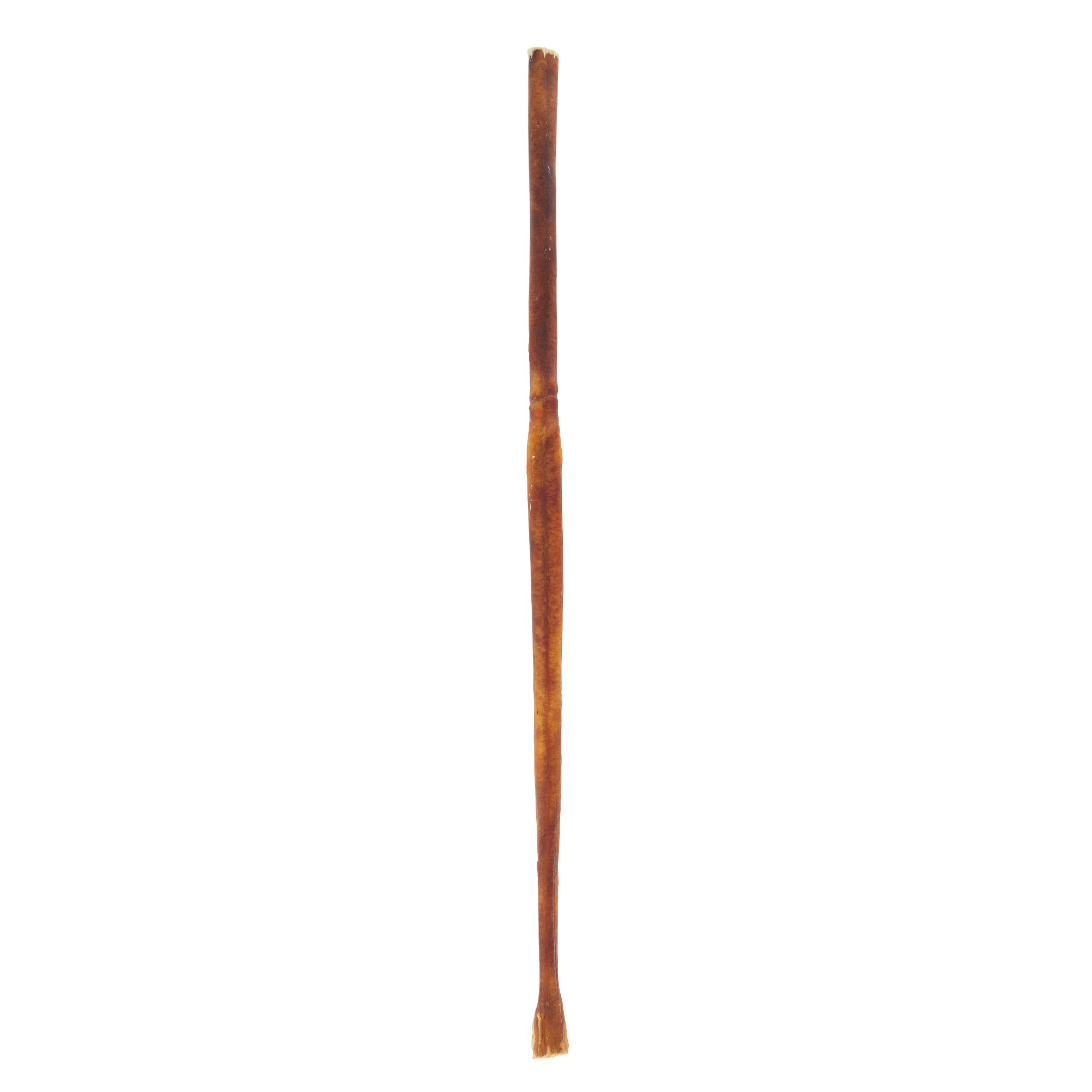 bully sticks petsmart