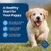 Blue Buffalo® Life Protection Formula™  Puppy Dry Dog Food - Natural, Chicken image thumbnail 4