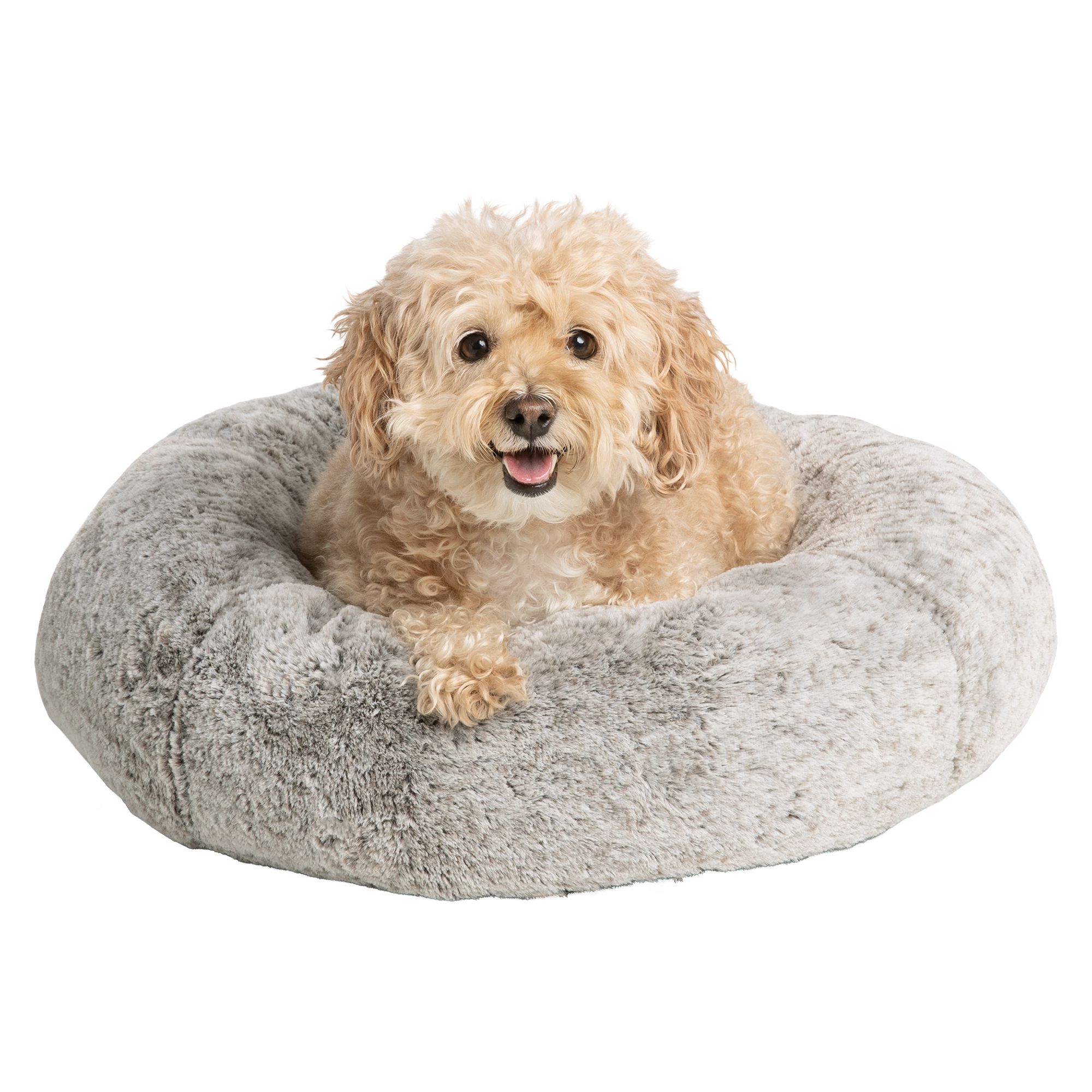 Petsmart dog beds 2025 for large dogs