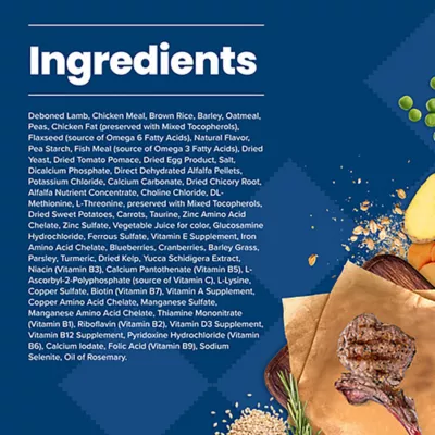 Blue Buffalo® Life Protection Formula™ Small Breed Adult Dry Dog Food - Natural, Lamb - Image 5