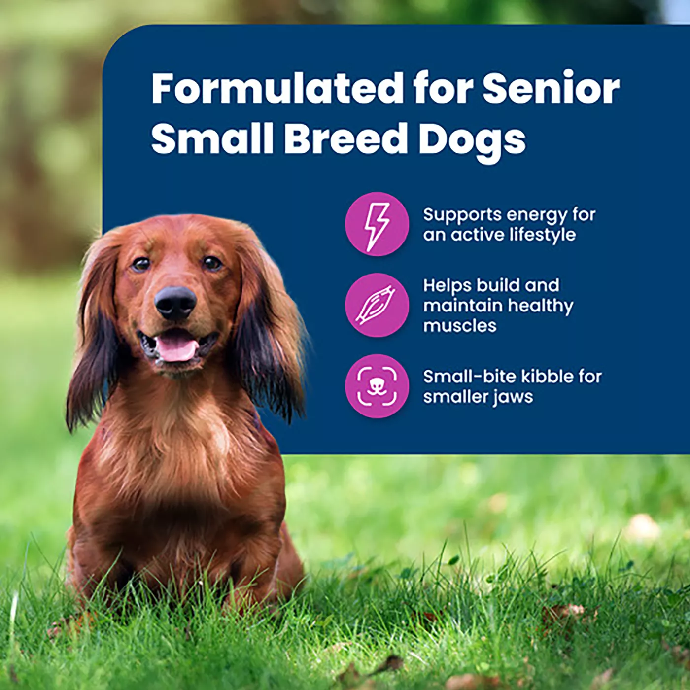 Blue Buffalo Life Protection Formula Small Breed Senior Dry Dog Food Natural Chicken