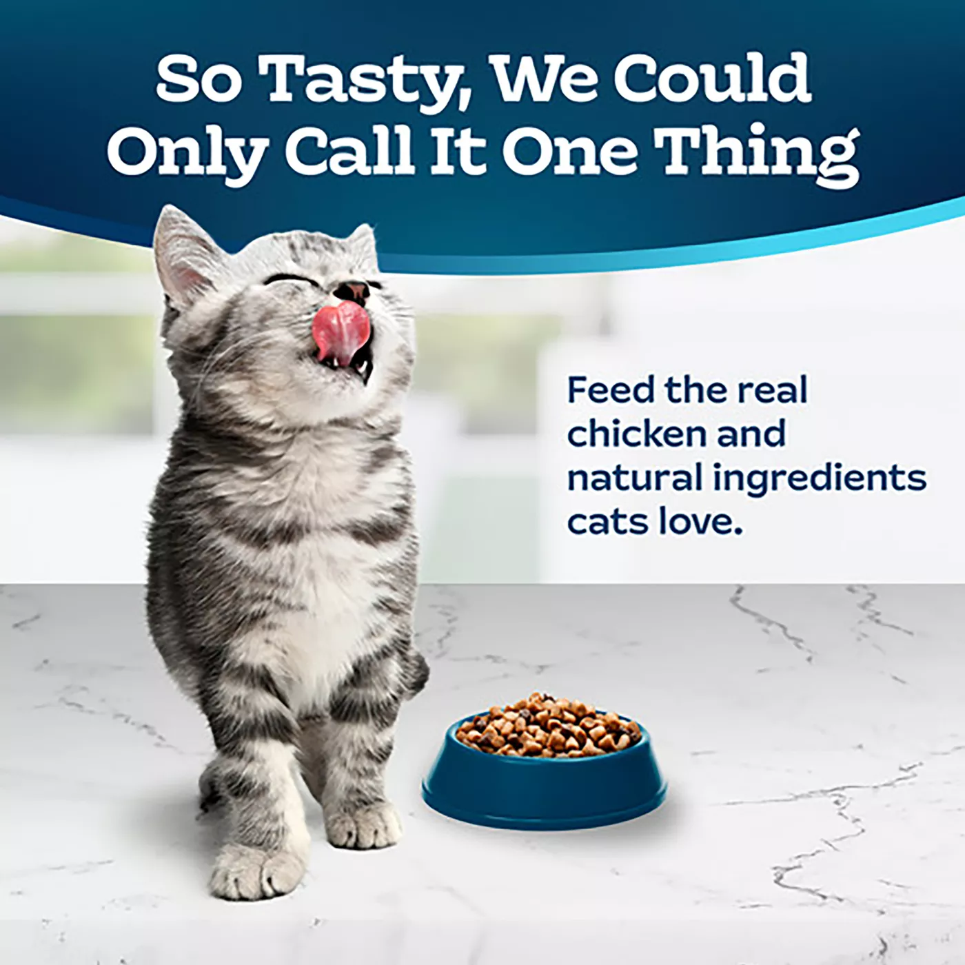 Blue Buffalo Tastefuls Healthy Growth Kitten Dry Cat Food Natural Chicken Brown Rice