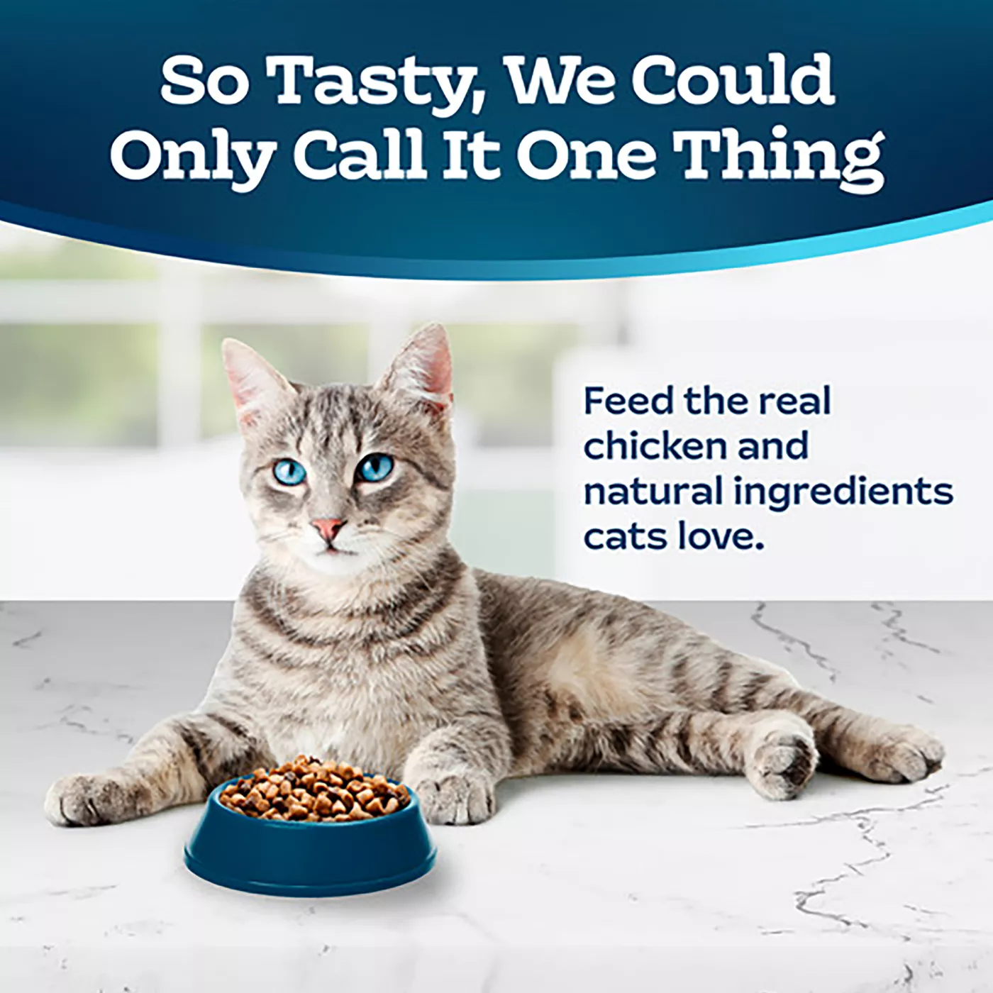 Blue Buffalo Tastefuls Healthy Aging Mature Dry Cat Food Natural Chicken Brown Rice