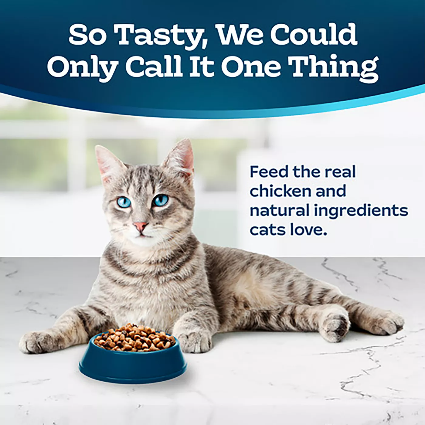 Blue Buffalo Tastefuls Indoor Health Adult Dry Cat Food Natural Chicken Brown Rice