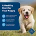 Blue Buffalo® Life Protection Formula™  Puppy Dry Dog Food - Natural, Chicken image thumbnail 4