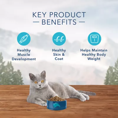 Blue Buffalo® Wilderness™  Adult Dry Cat Food - Natural, Chicken - Image 5