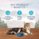 Product Blue Buffalo® Wilderness™ Mature 7+ Dry Cat Food - High Protein, Chicken, 5 lb