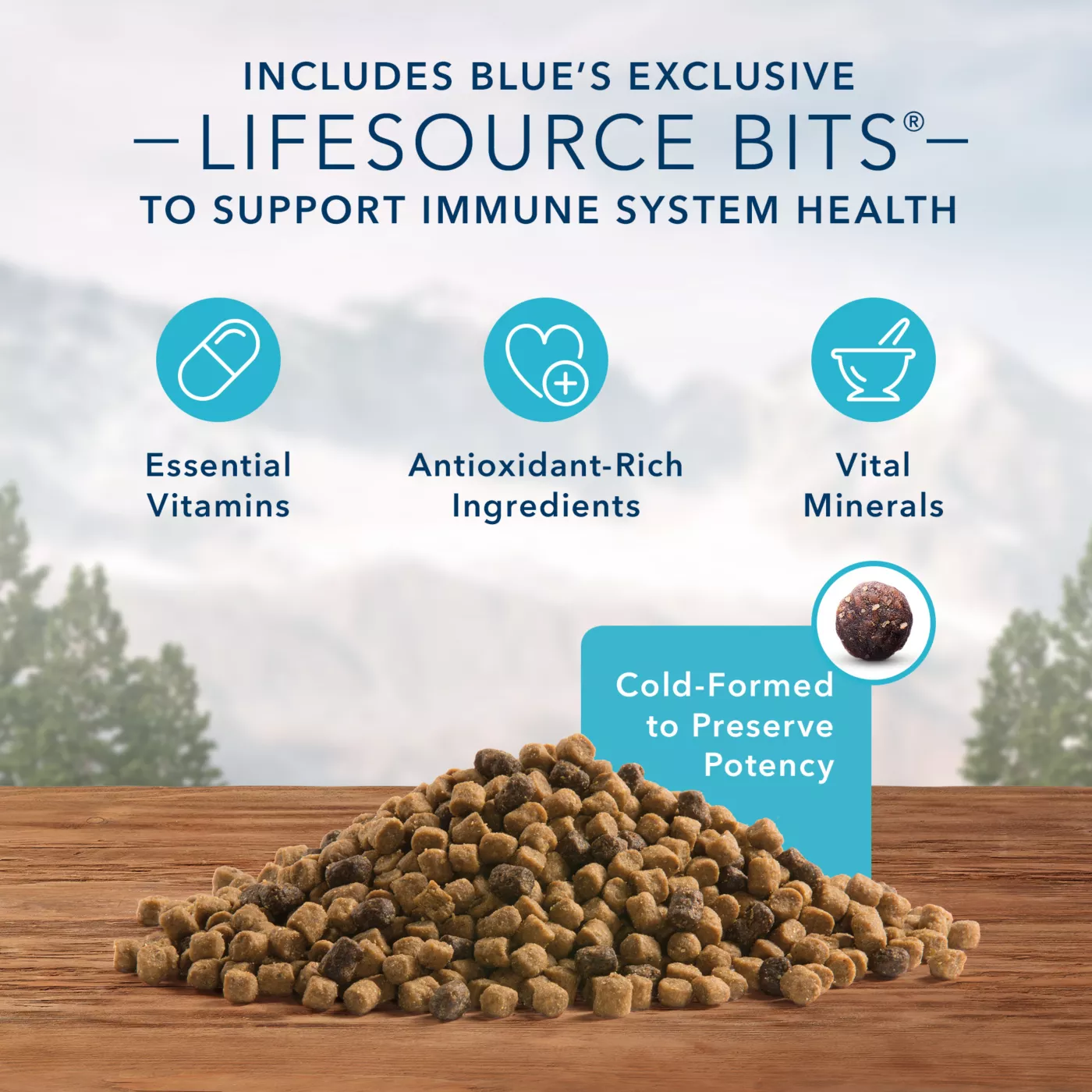 Blue buffalo high protein cat food hotsell