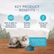 Product Blue Buffalo® Wilderness™  Kitten Dry Cat Food - Natural, Chicken