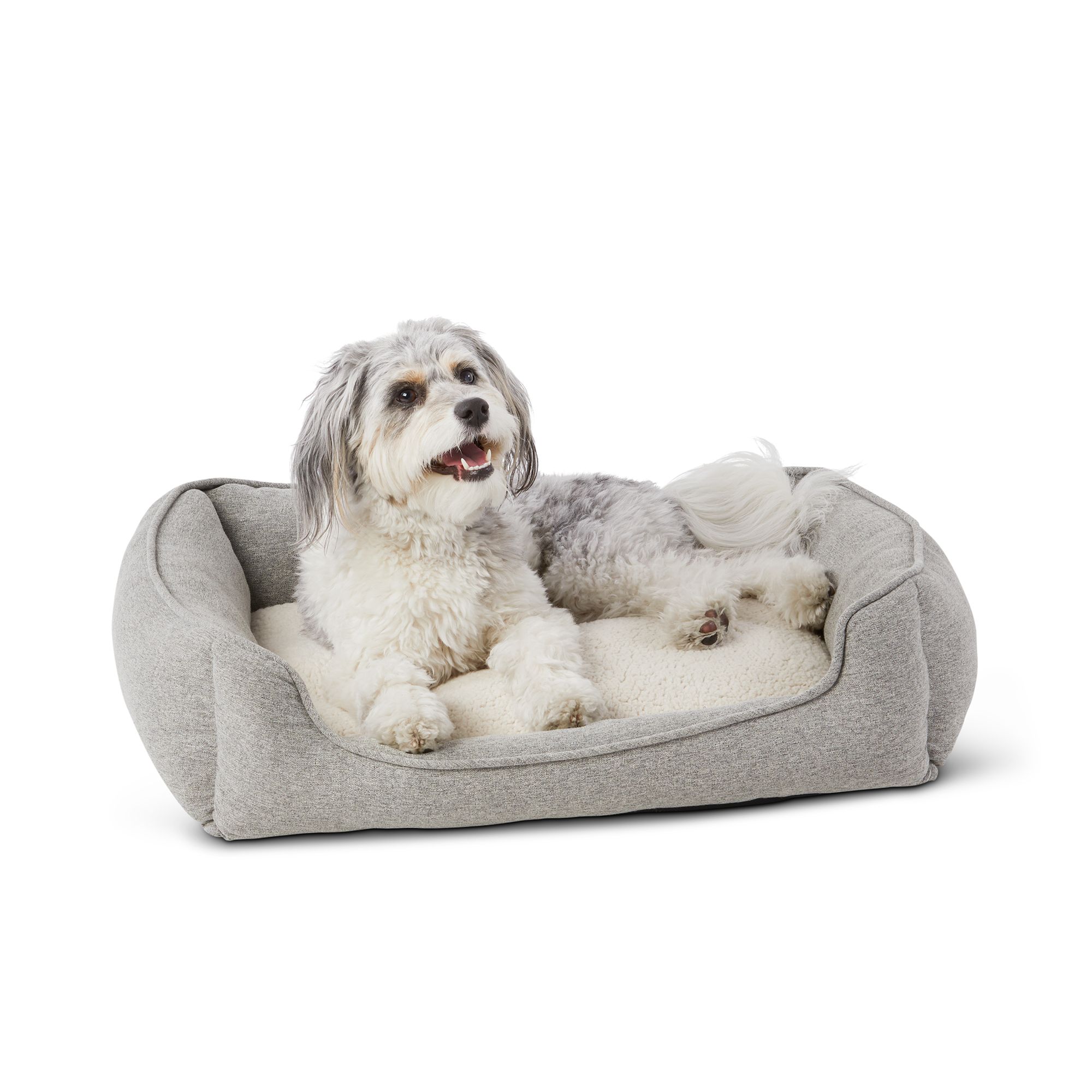 Petsmart xl 2025 dog bed