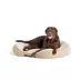 Top Paw® Orthopedic Premium Support Oval Lounger Dog Bed image thumbnail 1