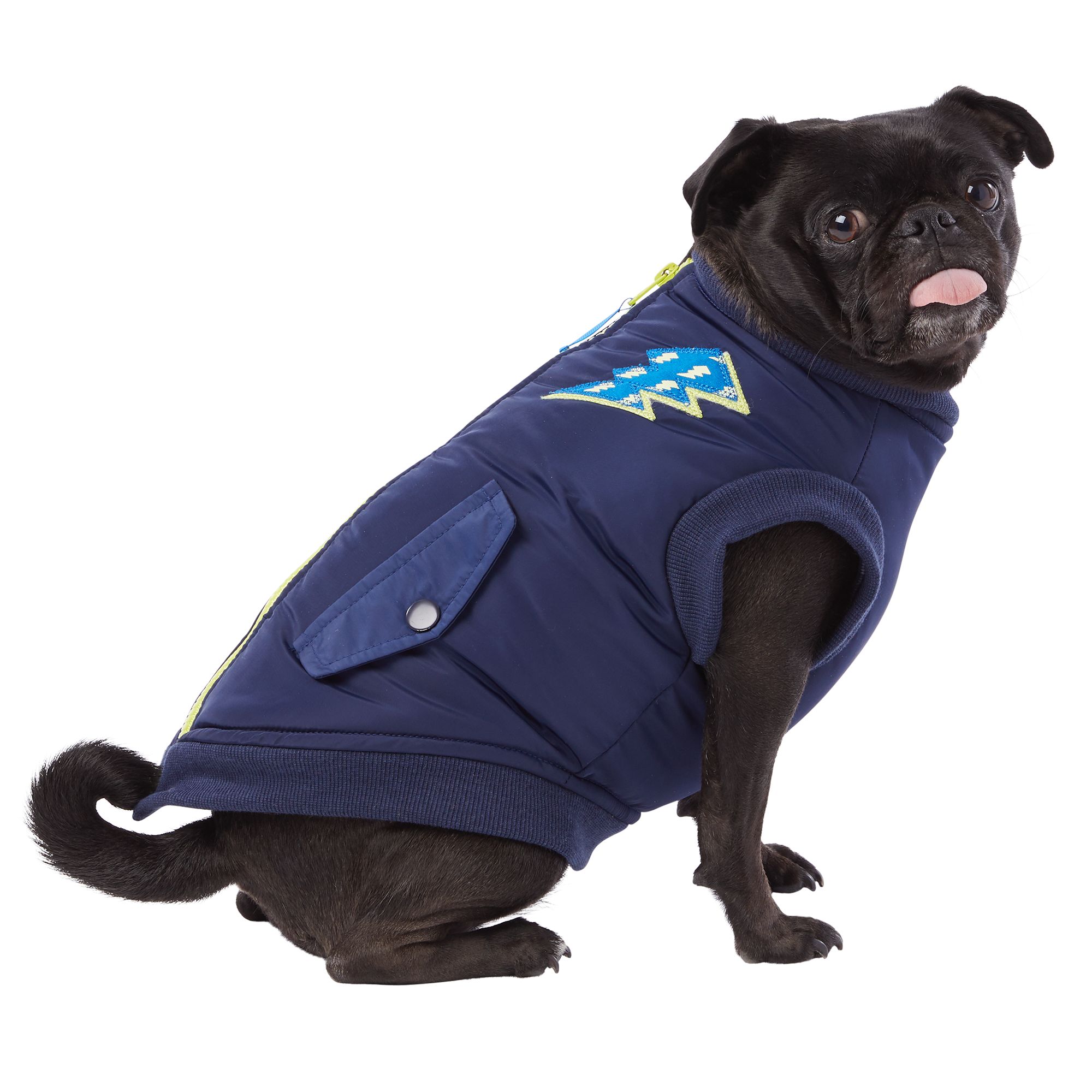 lightning dog jersey