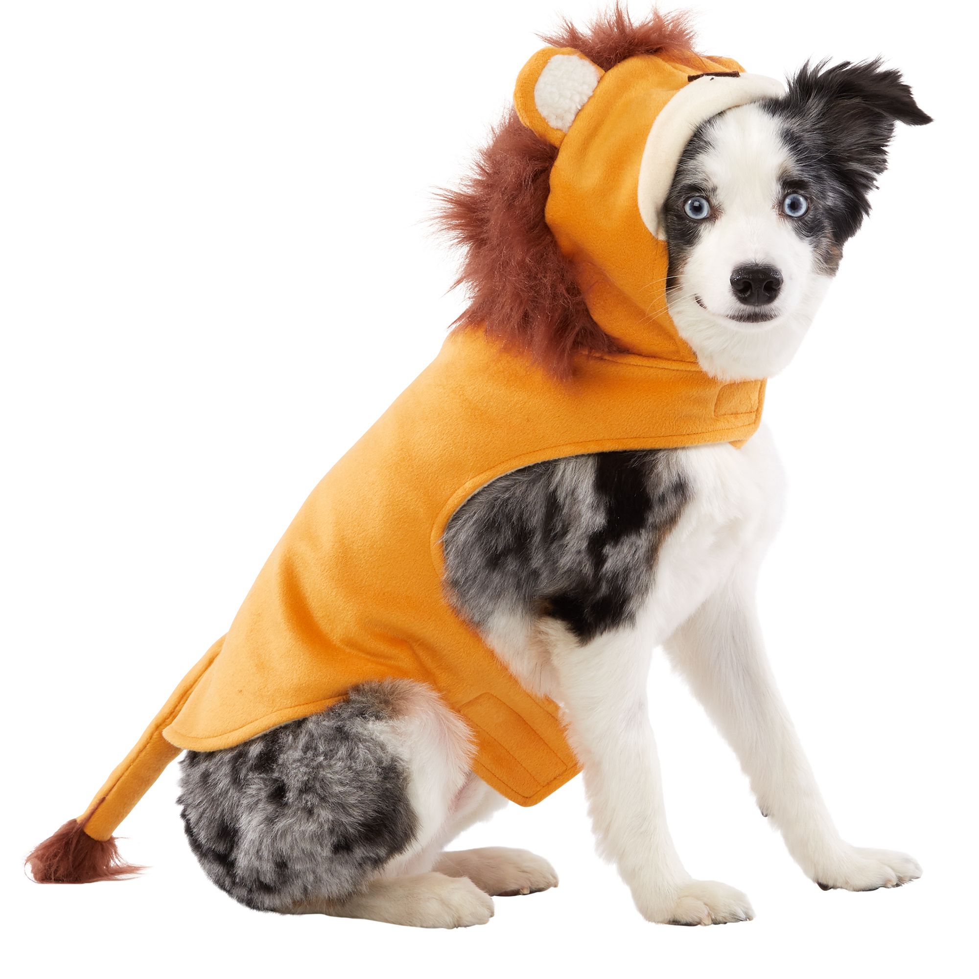 petsmart dog jackets
