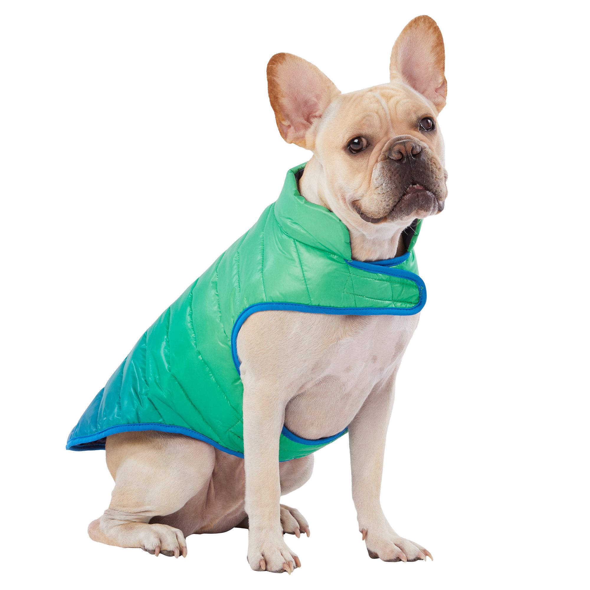 pet coats and sweaters