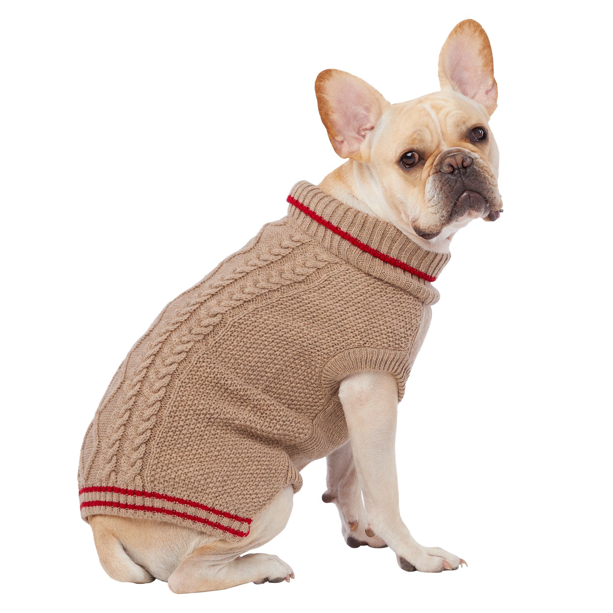 dog hates sweater