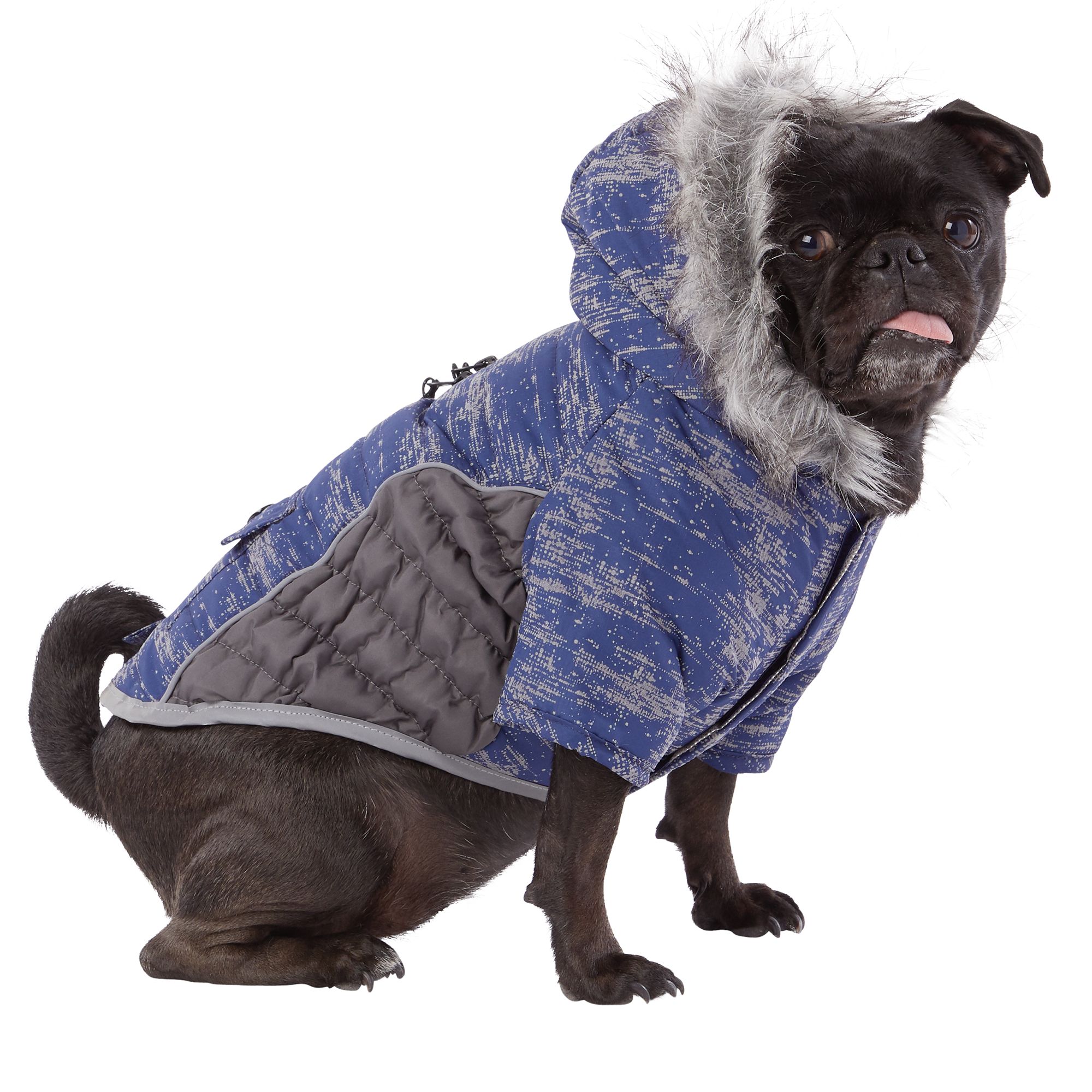 dog rain jacket petsmart