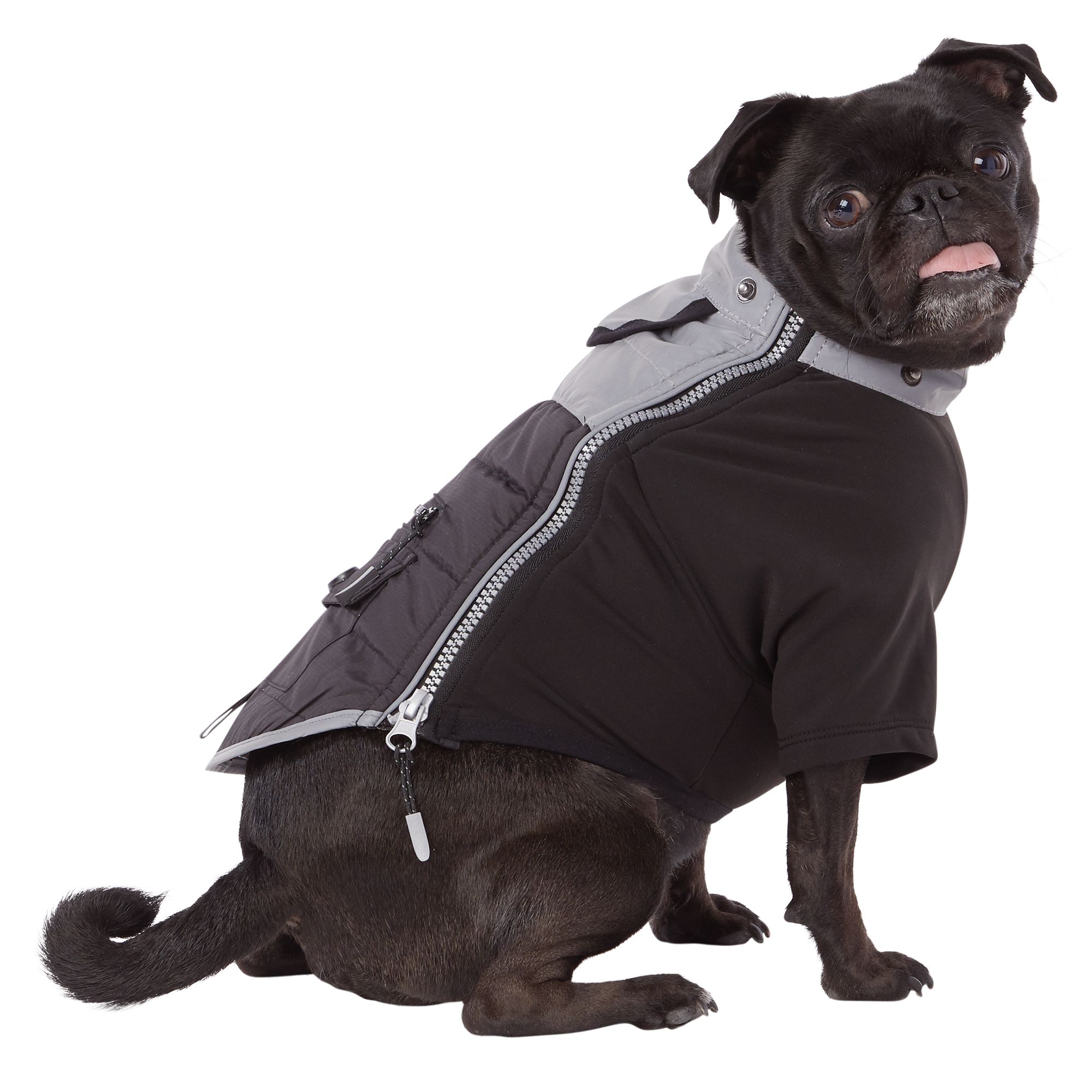 reflective dog vest petsmart
