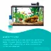 Top Fin® Aquarium Readistart Nitrifying Bacteria Starter - Aquarium Water Treatment - 4-8 oz image thumbnail 4