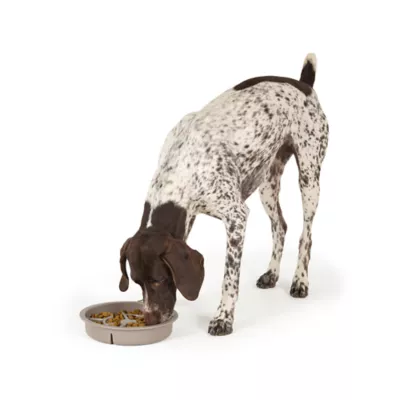 Top Paw® Grey Slow Feeder Dog Bowl, 6.75-cup - Image 6