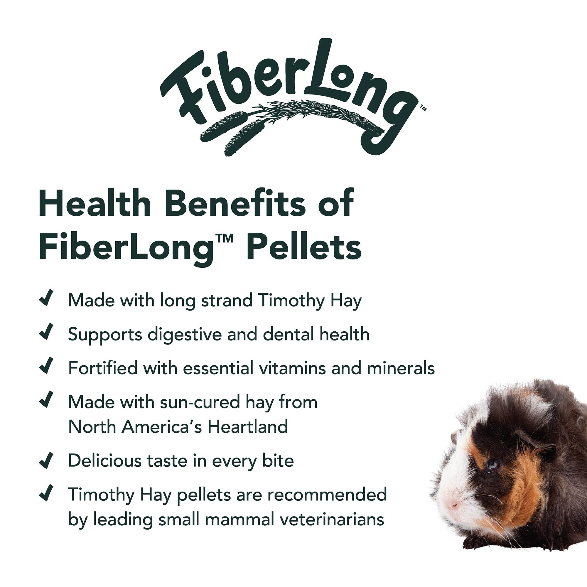 guinea pig pellets petsmart