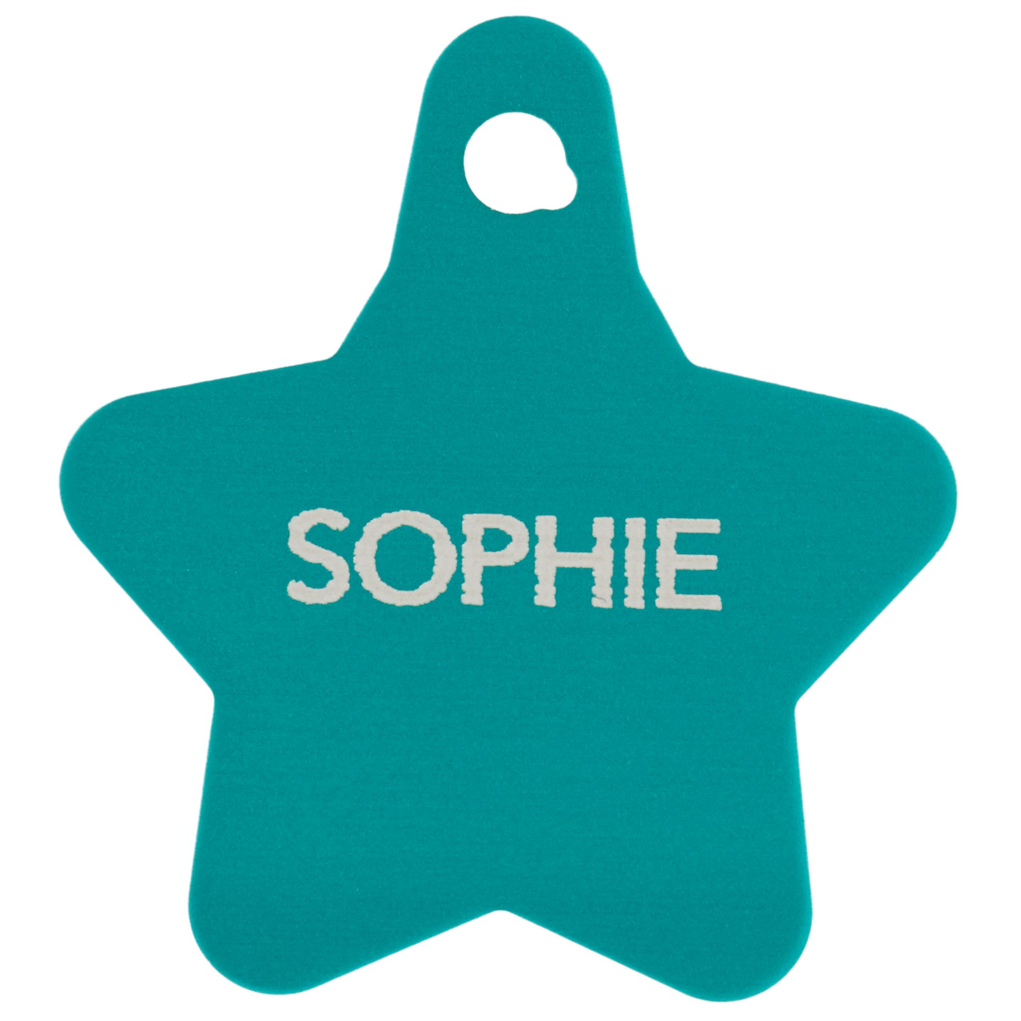 TagWorks Star Personalized Pet ID Tag